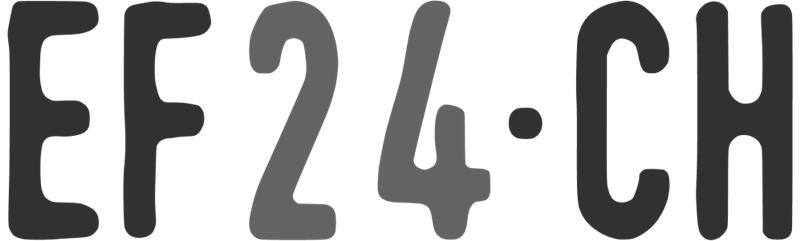 icon 300